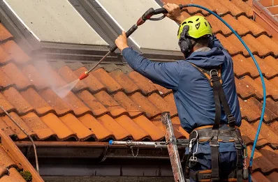 Démoussage et hydrofuge de toiture à Trimouille